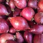 Red onions