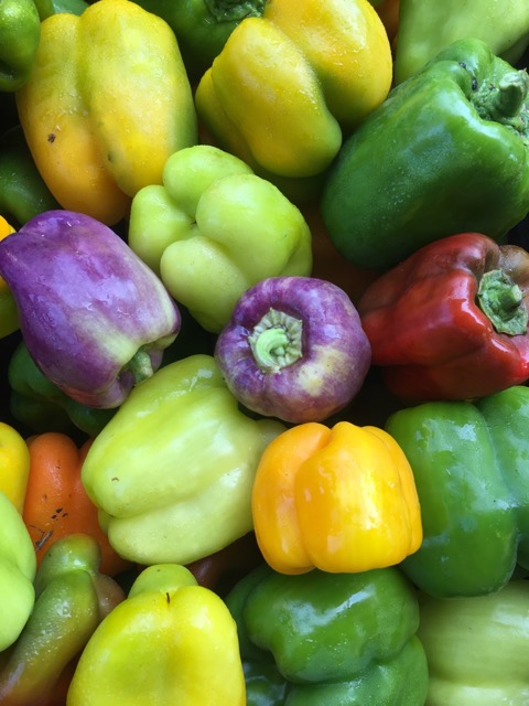 Multicolored bell peppers