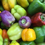 Multicolored bell peppers