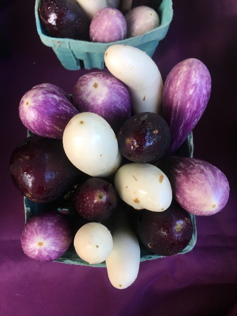 Mini eggplant