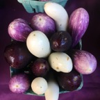 Mini eggplant