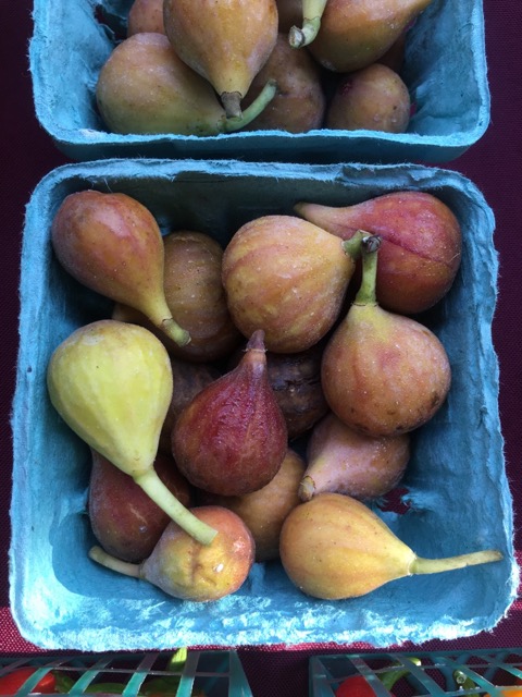 Figs