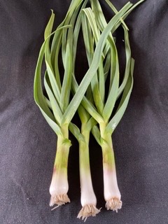 Green Garlic