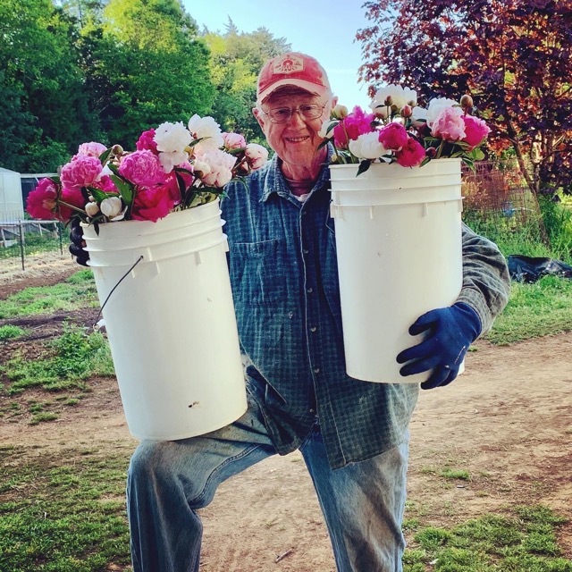 Peony Buckets