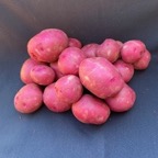 New potatoes