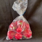 Bag of radishes